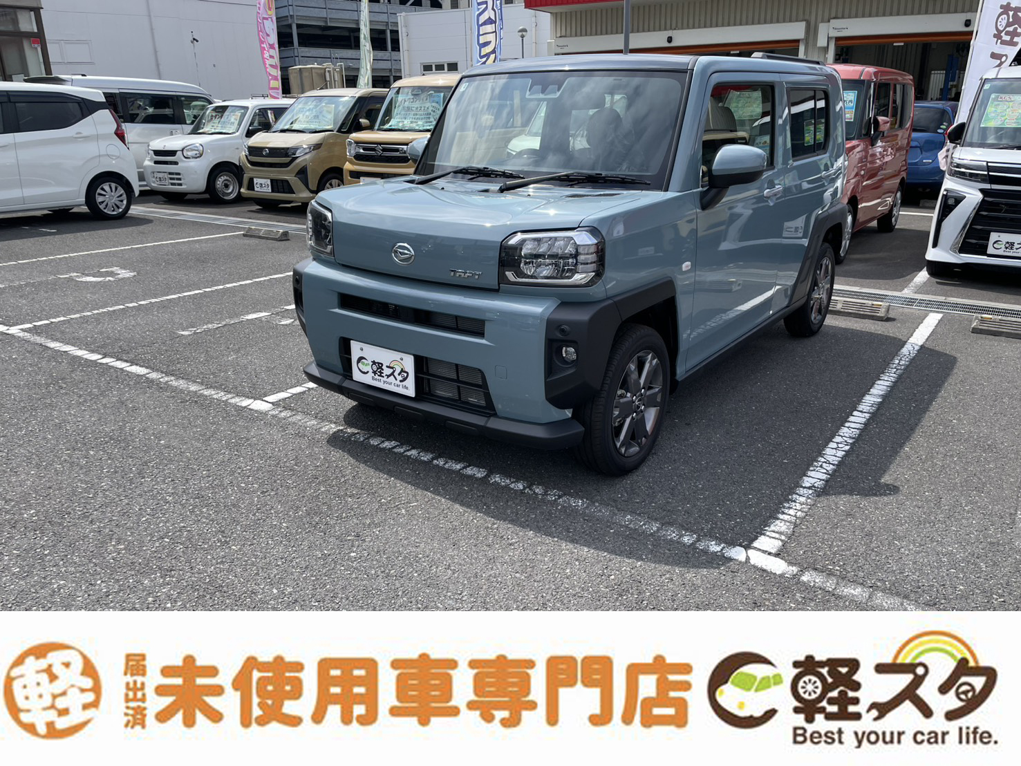 タフト
